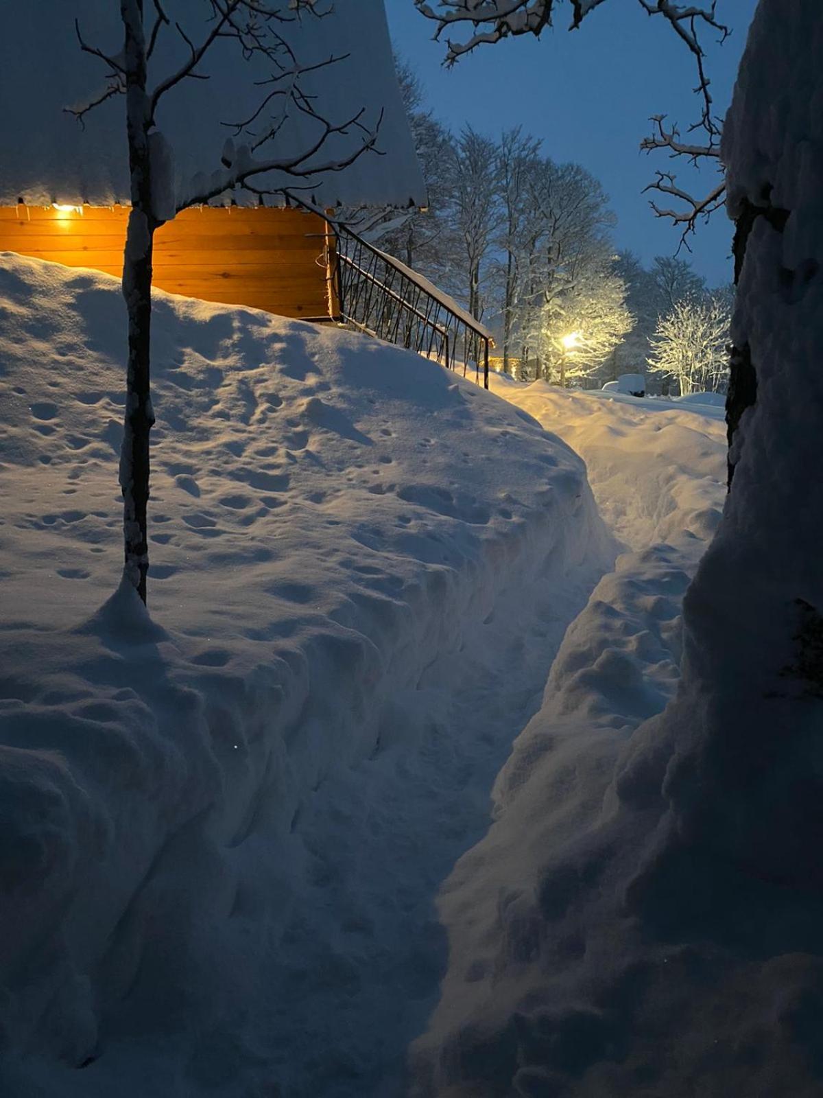 Vila Sun Forest Žabljak Esterno foto