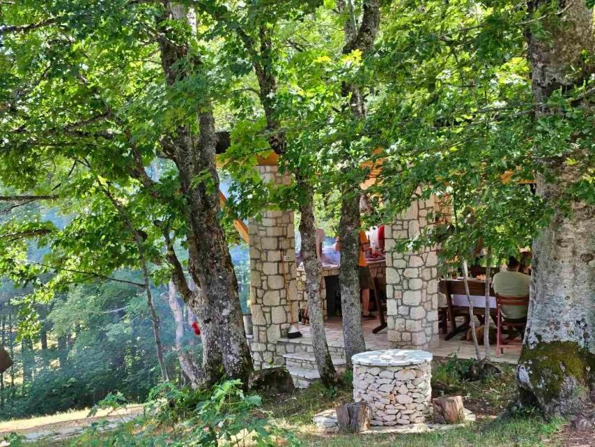 Vila Sun Forest Žabljak Esterno foto